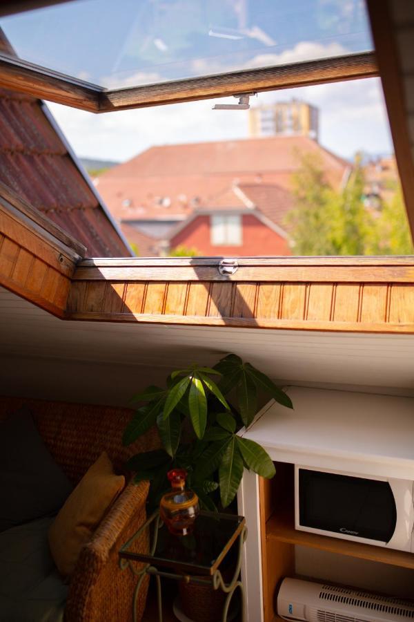 Studio Cocon Sous Les Toits De Jaures Belfort Εξωτερικό φωτογραφία