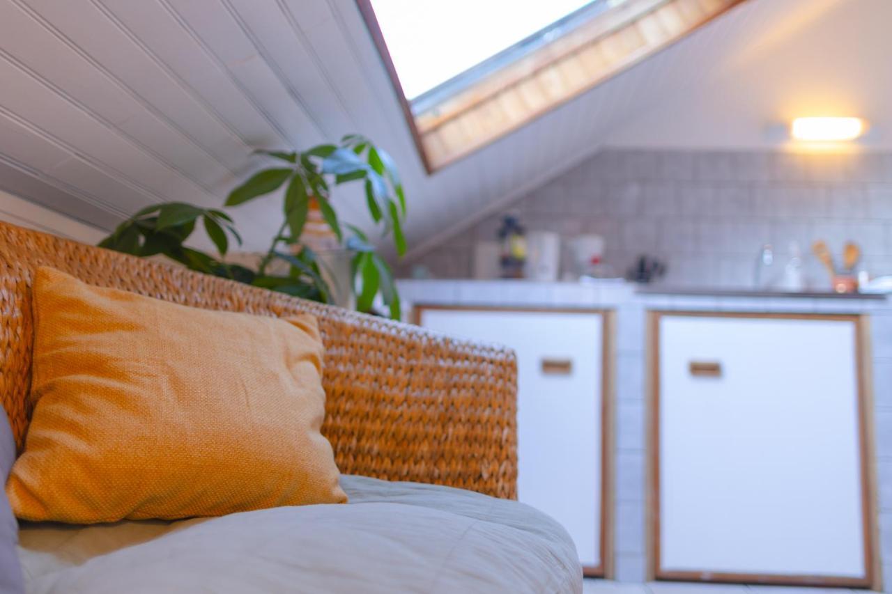 Studio Cocon Sous Les Toits De Jaures Belfort Εξωτερικό φωτογραφία